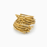 Anillo Geo