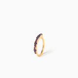 Anillo Semi Sin Fin Blue and Purple