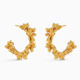 Aura Hoops